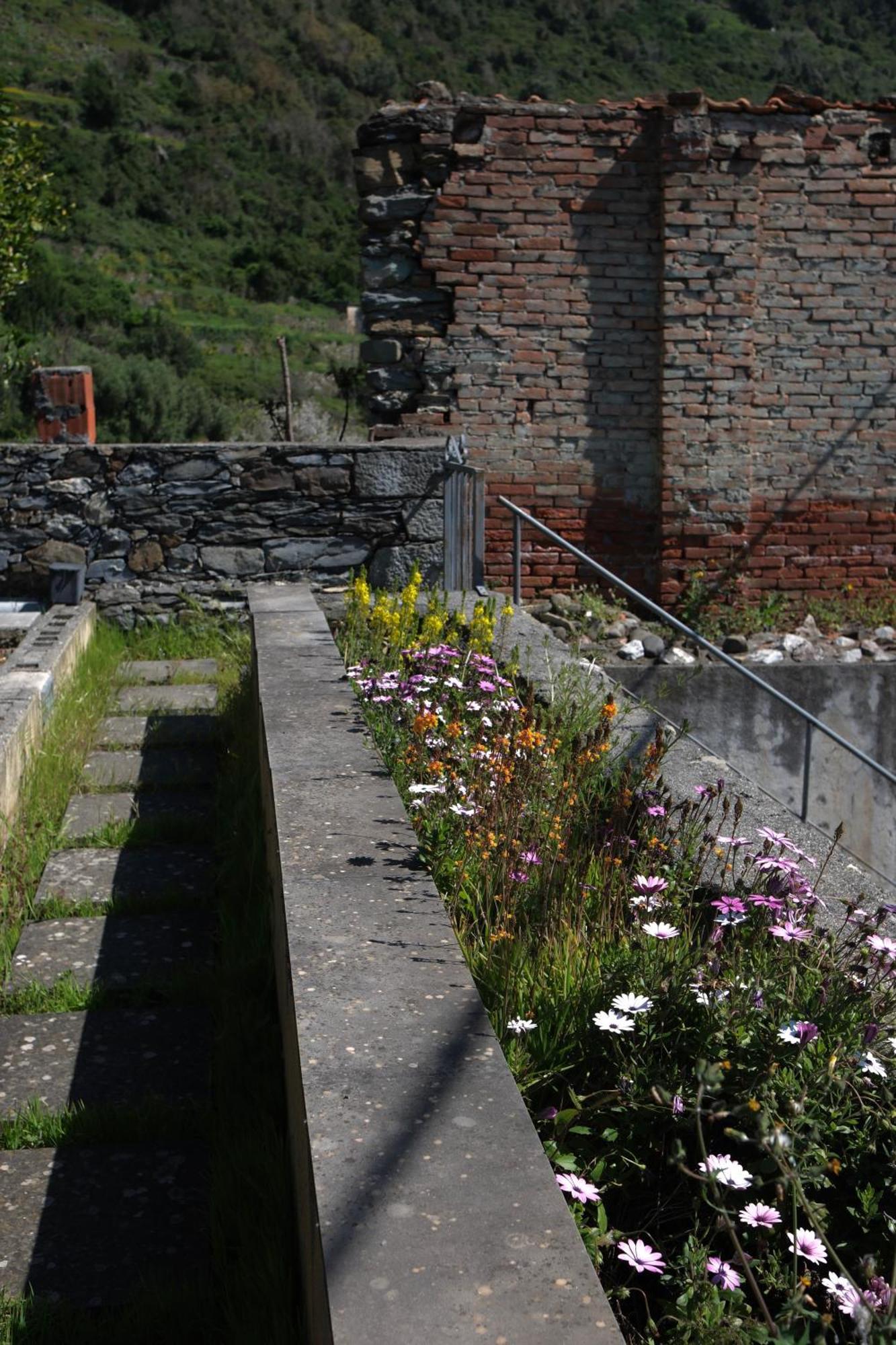 My Place Your Place Corniglia Exterior foto